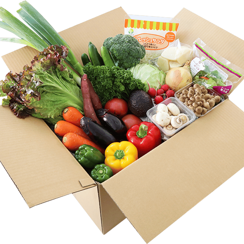 規格外野菜 2980円セット | oyasairescue