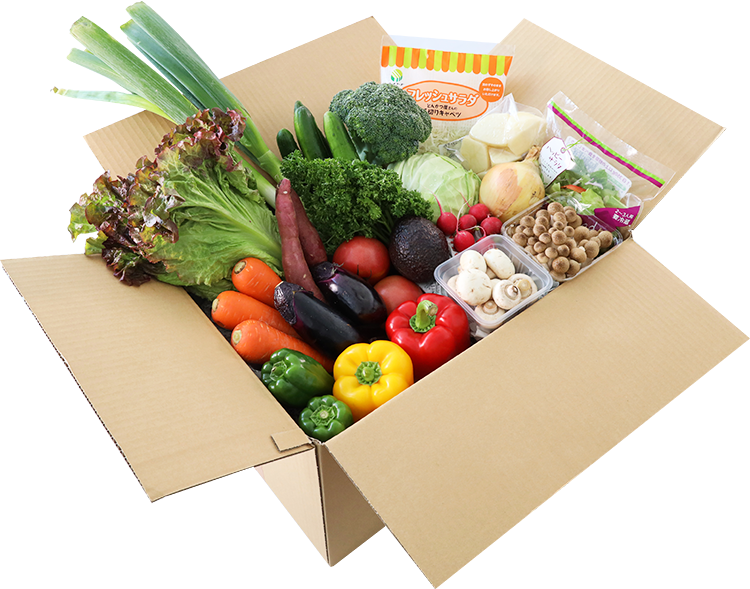 十六種類の野菜 2ケース(60本') 十六種類の野菜 2ケース(60本') 十六