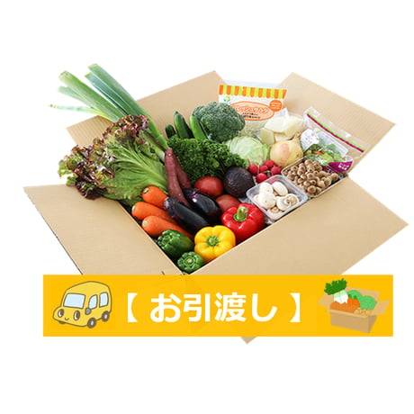 規格外野菜　2980円セット　【お引渡し・送料無料】