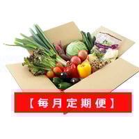 規格外野菜 1980円セット | oyasairescue