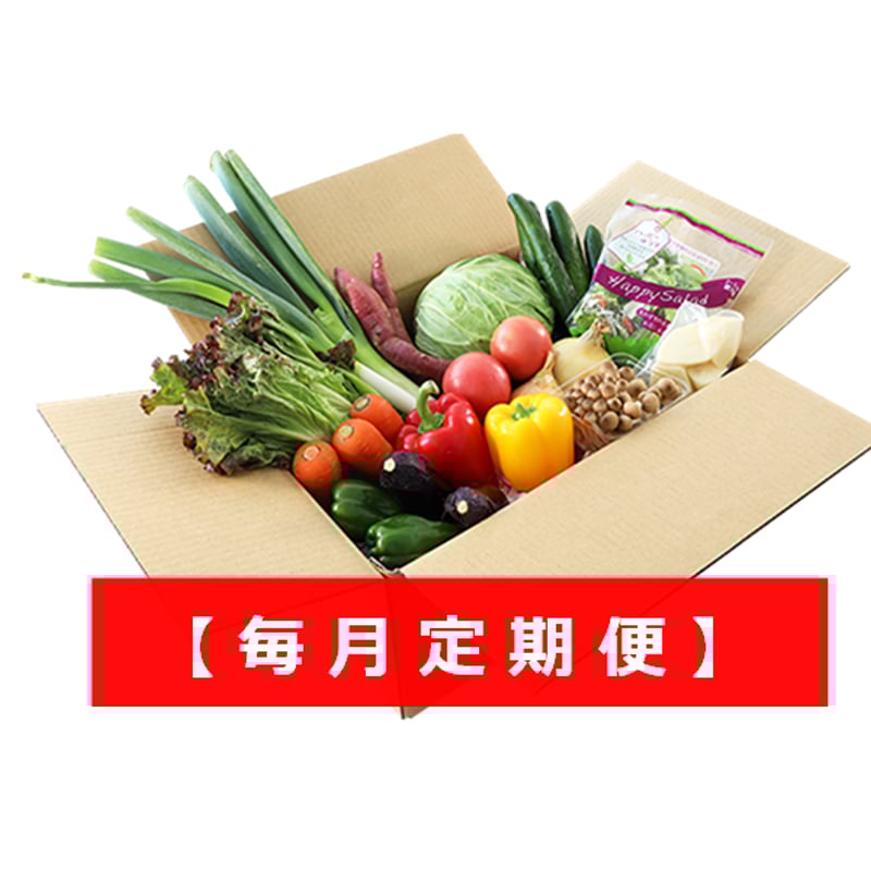 規格外野菜 1980円セット 【毎月定期便】 | oyasairescue 規格外野菜 1980円セット 【毎月定期便】 | oyasairescue