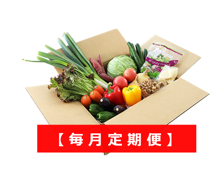 規格外野菜　oyasairescue　1980円セット　【毎月定期便】