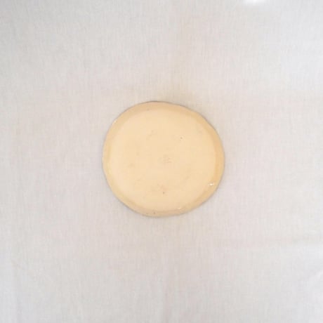 African plate_03/トルコ
