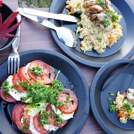 MOUNTAIN PLATE 3