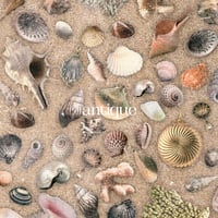 9th minialbum 「antique」(通常盤A)