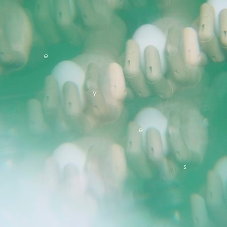 CATEGORY CD | おいしくるメロンパン Online Shop