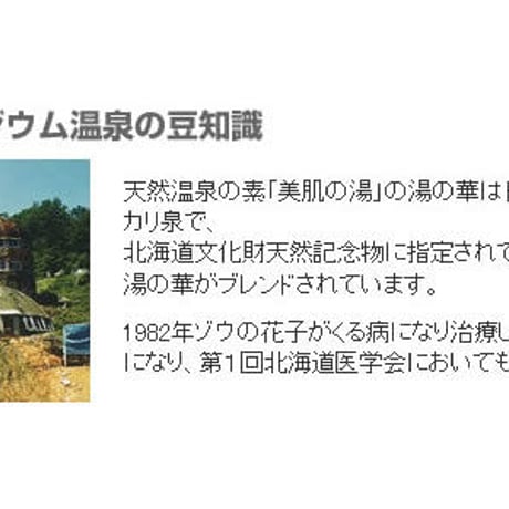 天然温泉の素「美肌の湯」12個セット