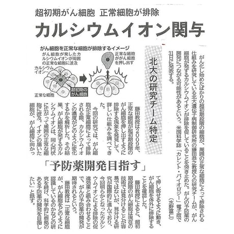 カルシウムイオン水 単品