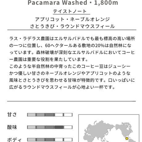 エルサルバドル ラスラドラス パカマラ ウォッシュド 中浅煎り　100g