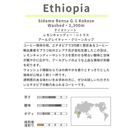 エチオピア シダモ ウォッシュド 浅煎り 100g