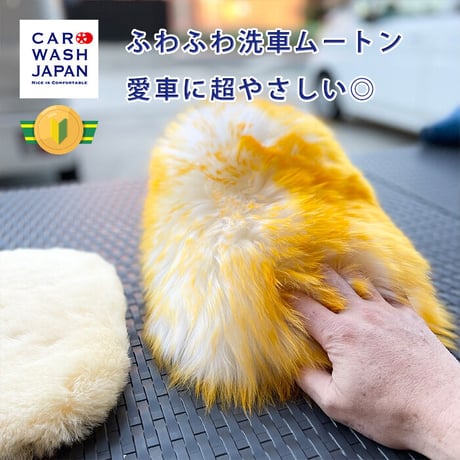 CAR WASH JAPAN