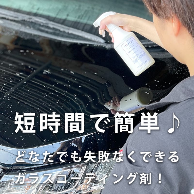 ネオグラスコート50ml お試しセット お試しサイズ ガラスコーティング