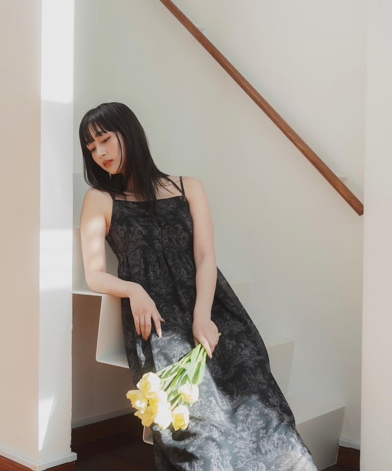 Toile de Jouy Sheer Dress | few,