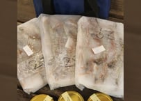 こだわりキャビア・海老セット （容量:キャビア10g×3、海老200g×3）[坪倉水産]