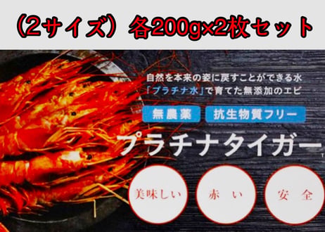 こだわり海老セット （容量:海老2種（各200g×２））[坪倉水産]