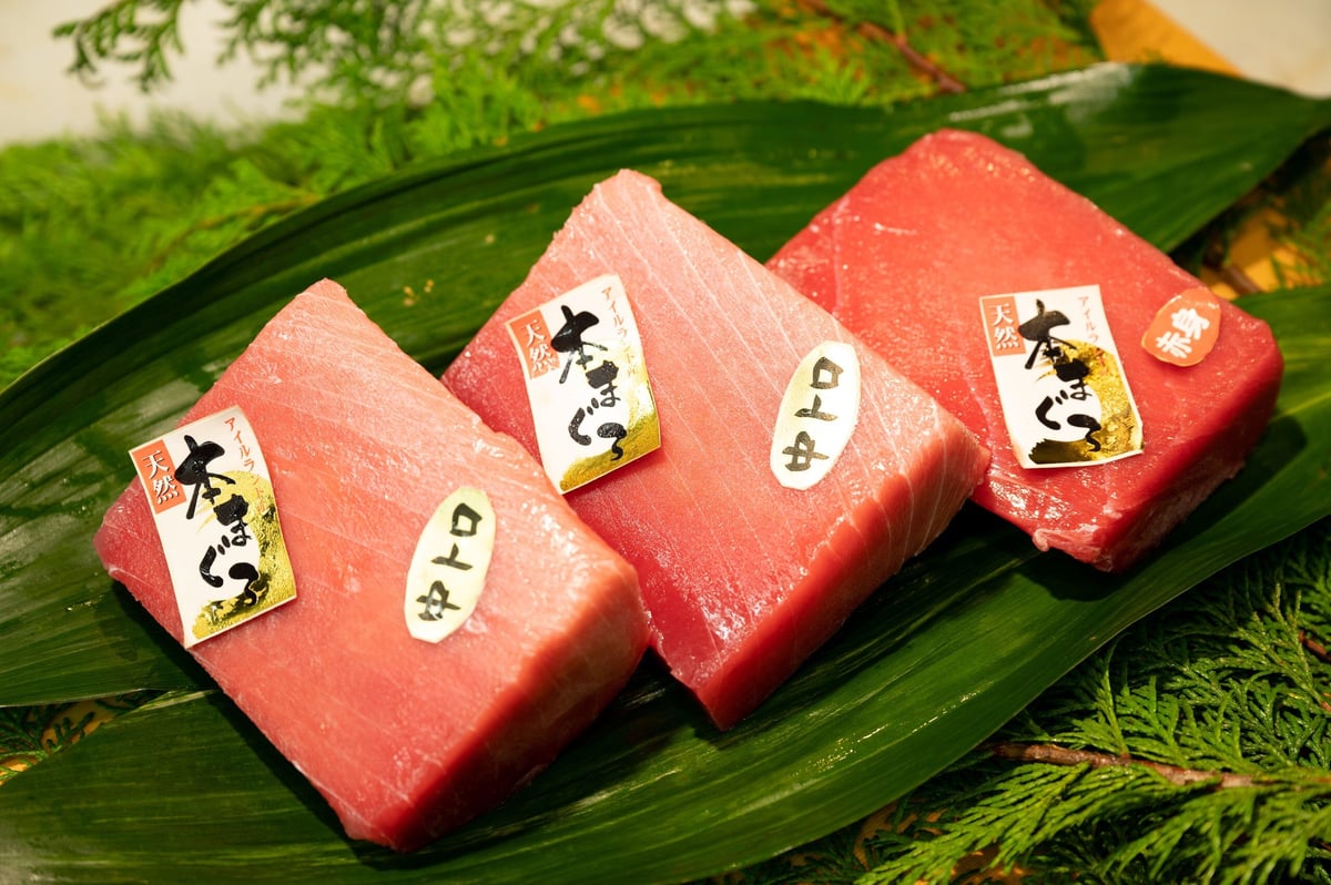 天然本鮪三昧セット（アイルランド産/中とろ2冊・赤身1冊 各330g