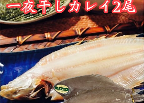 売れ筋干物セット　【横浜市場水産】
