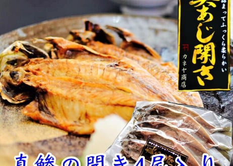 売れ筋干物セット　【横浜市場水産】