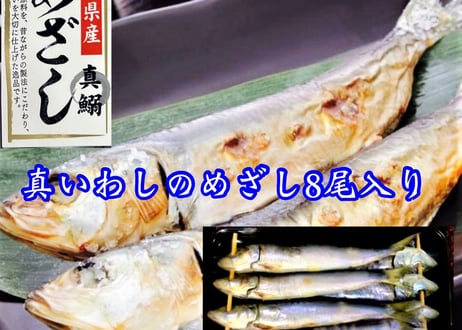 干物＋お手軽おかずセット　【横浜市場水産】