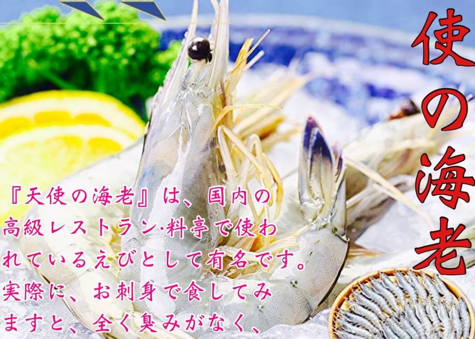 61384b0aa10275580b153021