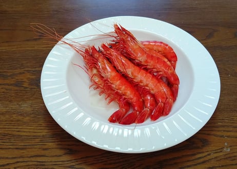 こだわりキャビア・海老セット （容量:キャビア10g×3、海老200g×3）[坪倉水産]
