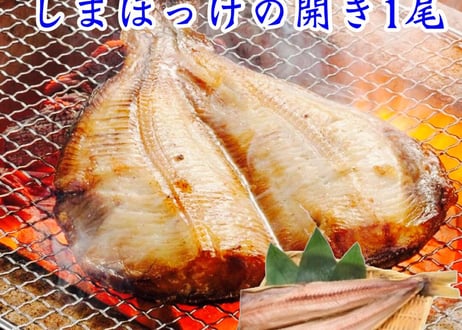 売れ筋干物セット　【横浜市場水産】