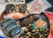 【坪倉商店】お任せ極上の海鮮ボックス詰め合わせ