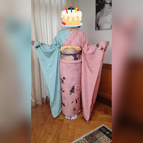 セットでお得です!手描き半幅帯三分紐帯留めセット 臨める 