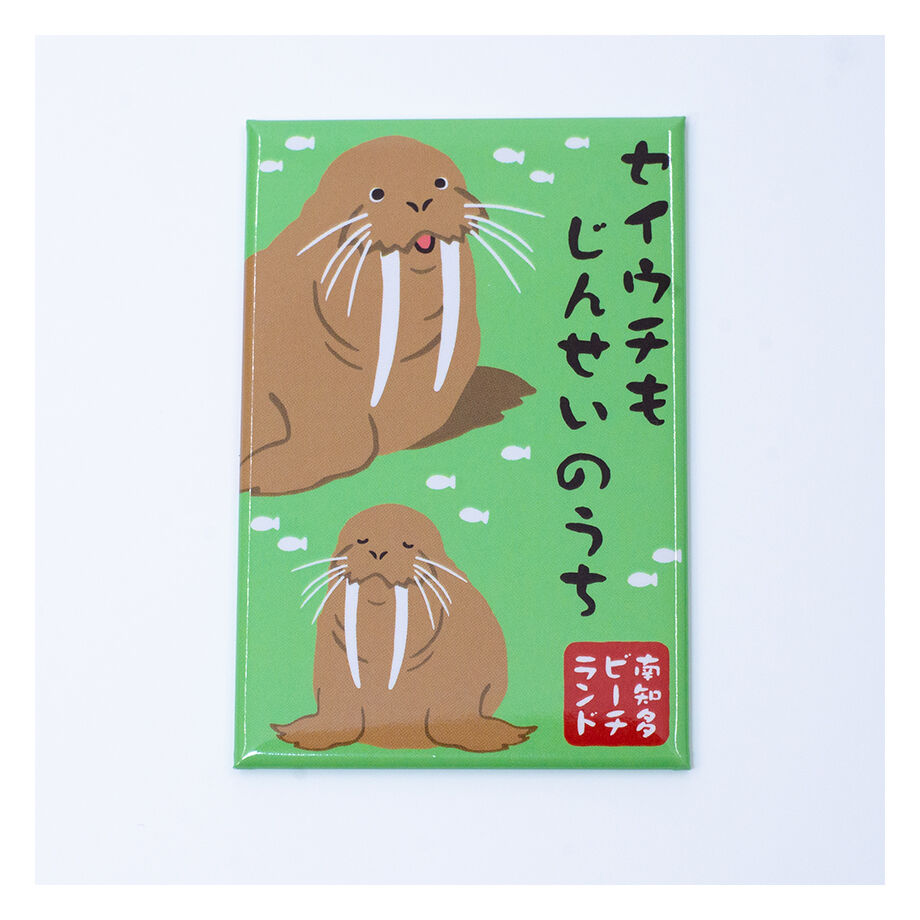 オリジナル四角マグネット | 南知多ビーチランドオンラインショップ