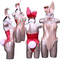 バニーガール 衣装 9点セット【デュアルフェイス・バニー】オレンジと