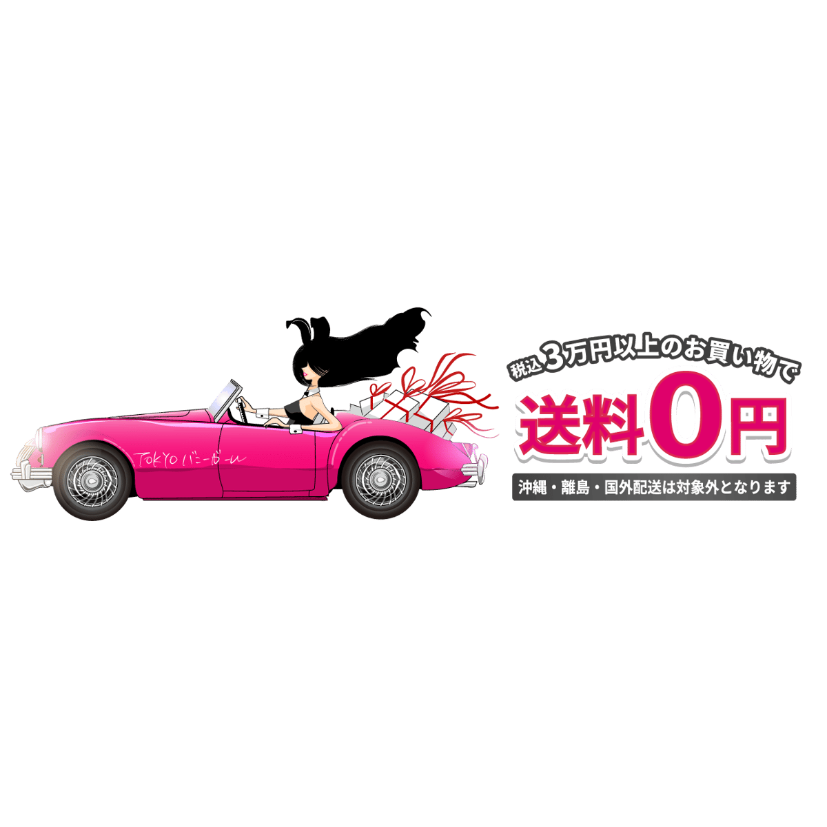 バニーガール 衣装 9点セット【デュアルフェイス・バニー】ブラックと