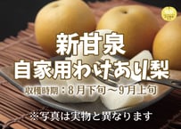 新甘泉5㎏箱　自家用わけあり梨