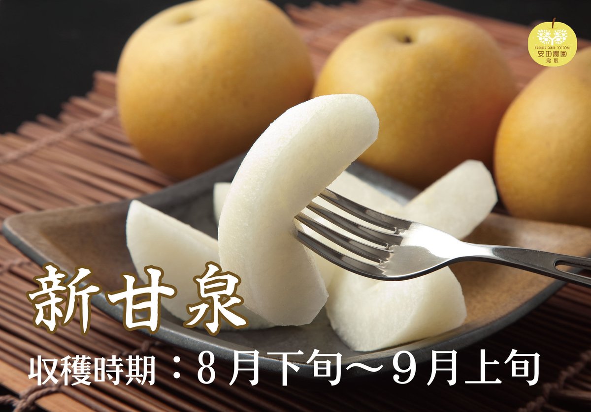 新甘泉3㎏箱 3L～6L(中～大)8～5玉 | 安田農園