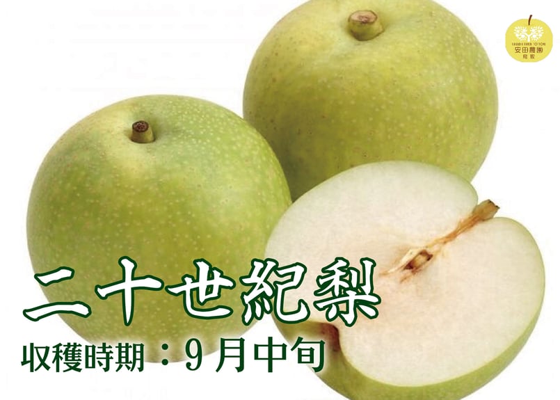二十世紀梨5㎏箱 2L～5L(中～大)16～10玉 | 安田農園