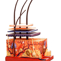 HARI QUEEN ハリのない肌へのプレゼント | 素っぴん美人専門店 