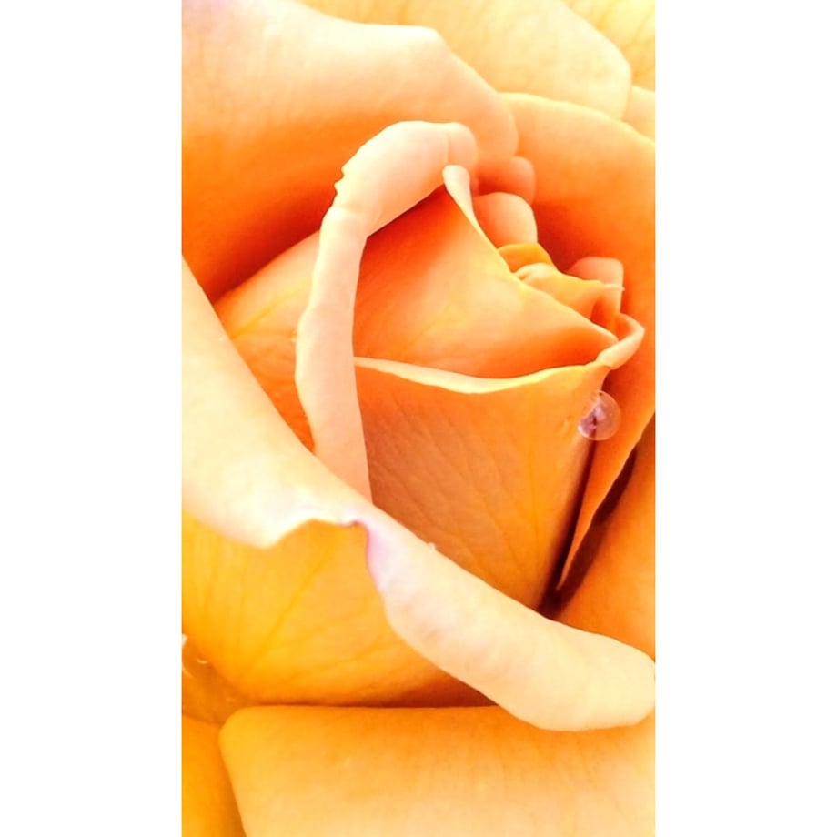 68418d068ae178fd2a05d59c