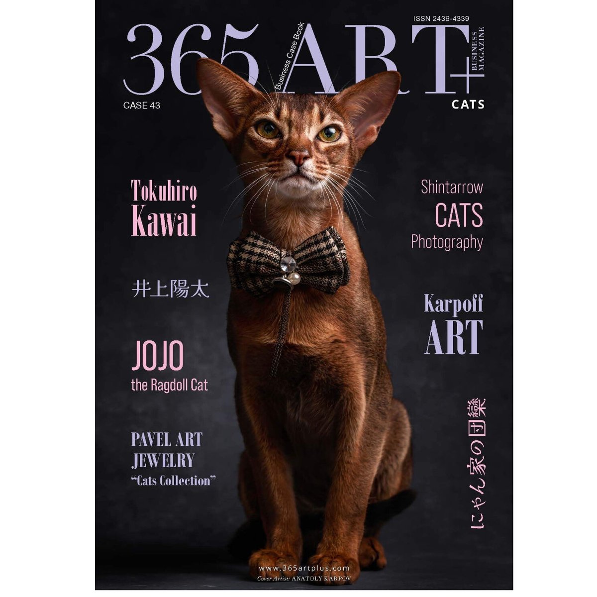 猫 cat コレクション インテリア アニマル 動物 漫画 レア 希少 貴重 猫 cat コレクション インテリア アニマル 動物 漫画 レア 希少