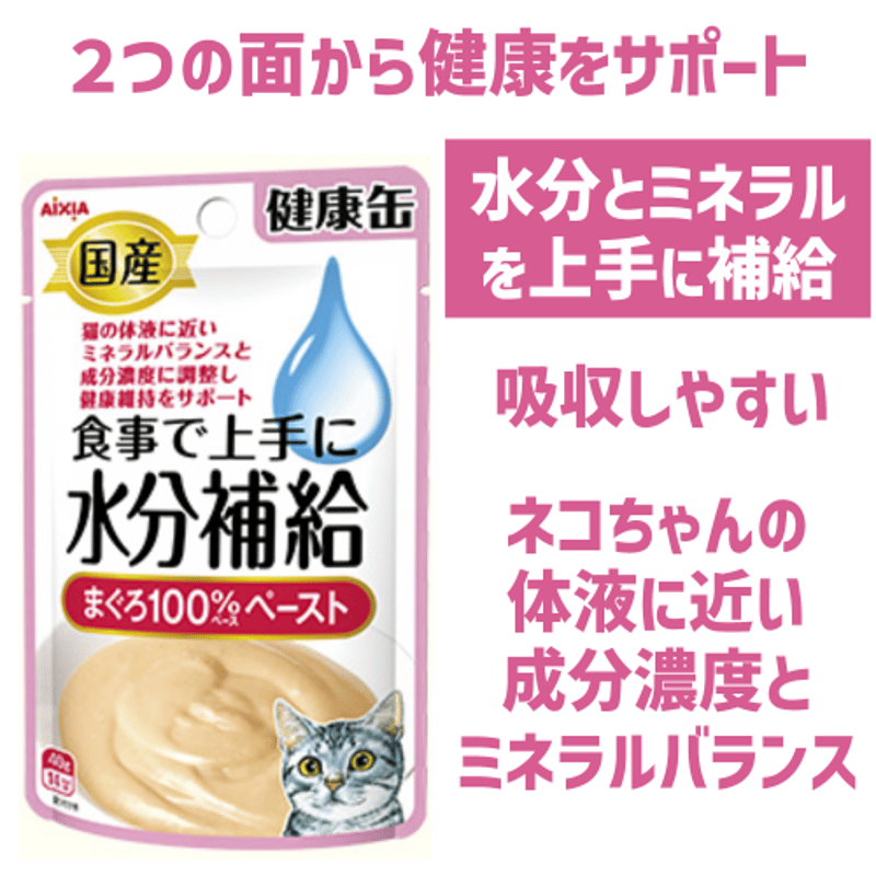 春先取りの 12袋 健康缶 まとめ売り 脱 健康缶パウチ 水分補給 猫 アイシア ウェット キャットフード キャットフード