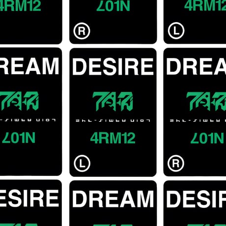 "DREAM or DESIRE" LEATHER POUCH