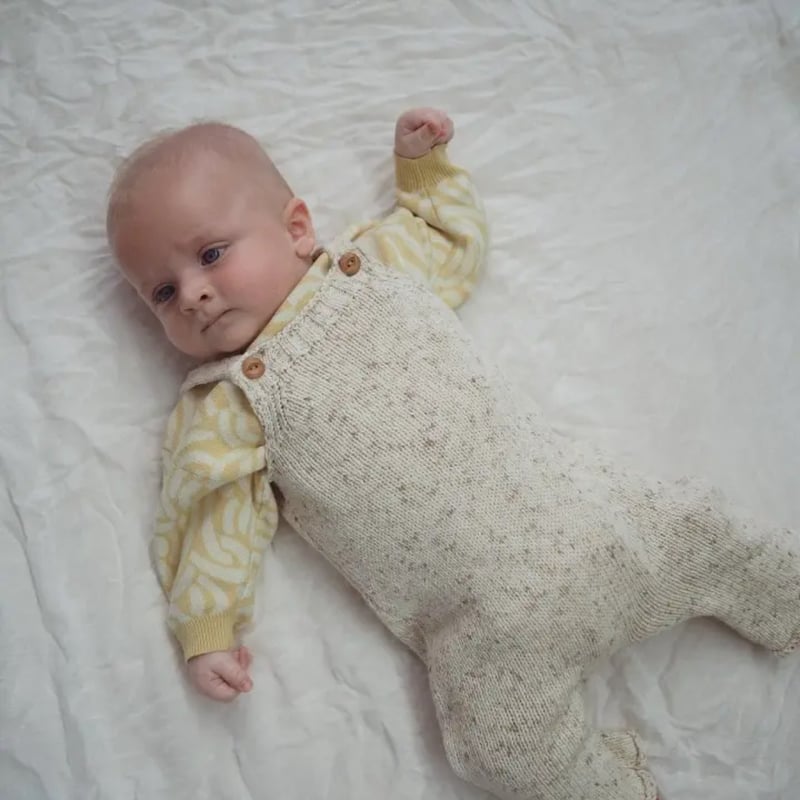 【未使用級】エブール　アセテートシャンブレーオーバーオール　定価5.4万　ワイド 未使用級】エブール アセテートシャンブレーオーバーオール 定価