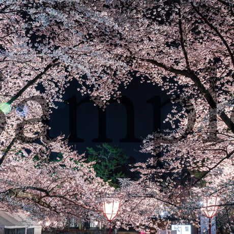 青森の桜©︎ポストカード「桜のハート」