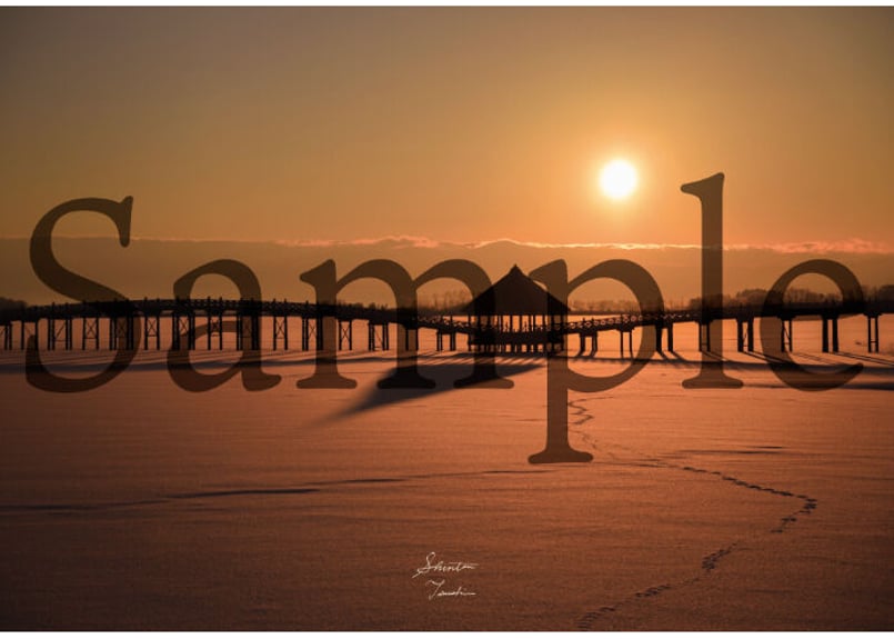 サクラ ts-805 SAKURA TS-805