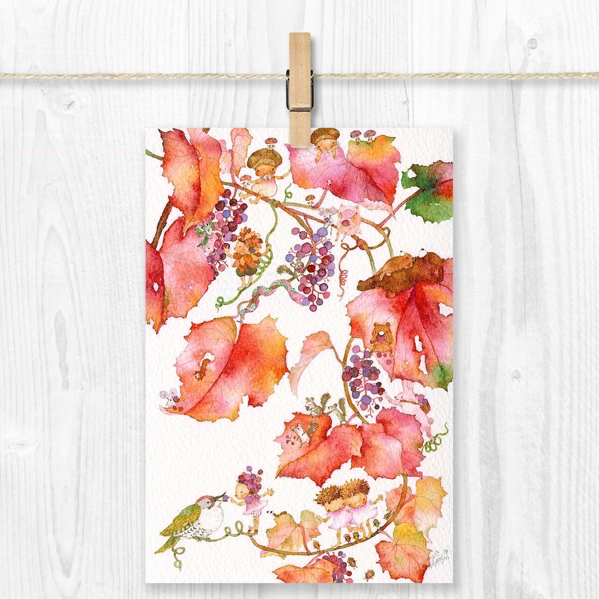 fit=scale-down,w=1200