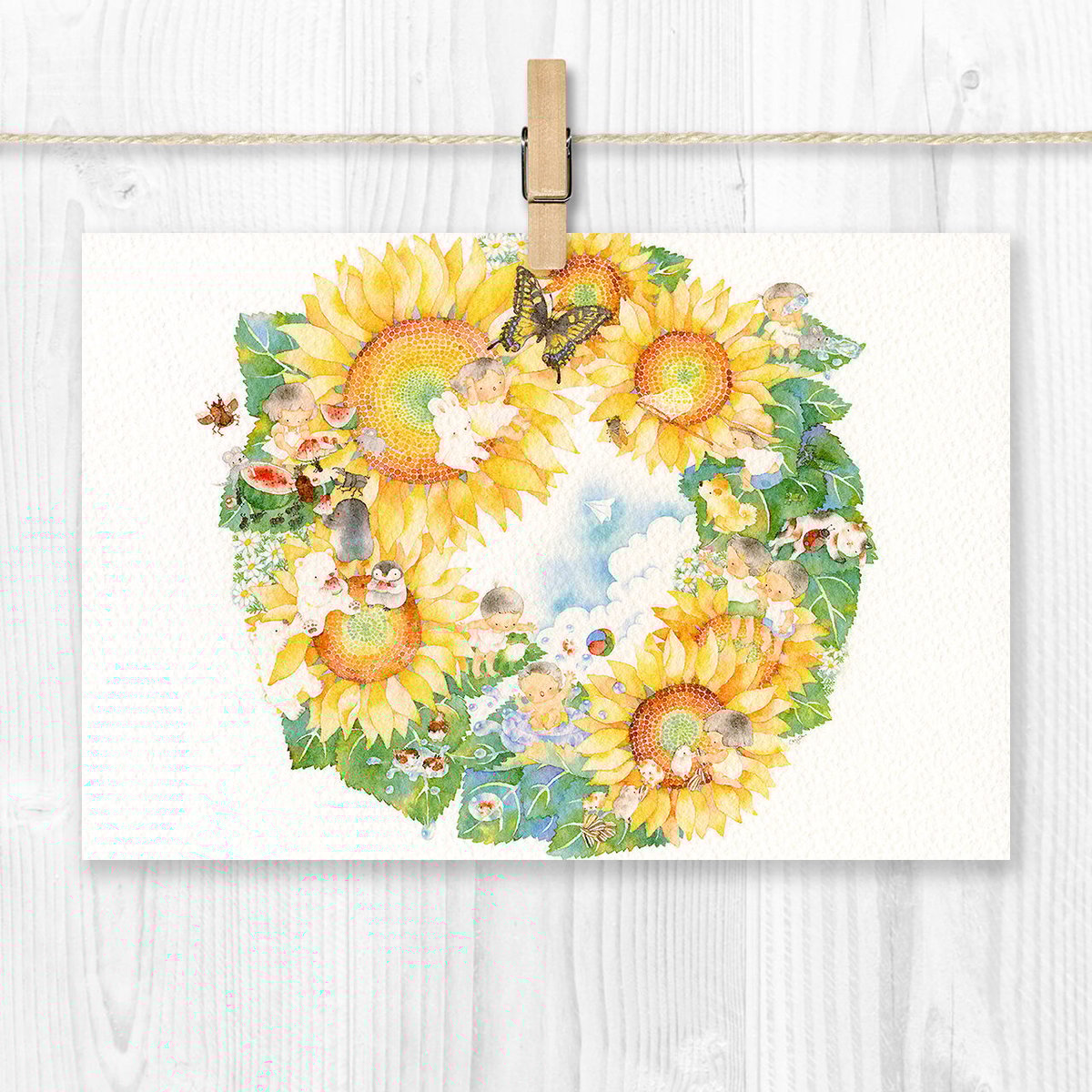 無限大 ホール ポストカード ポストカード『夢ノ雫』12枚セット | 写真家 津熊清嗣 癒しの世界