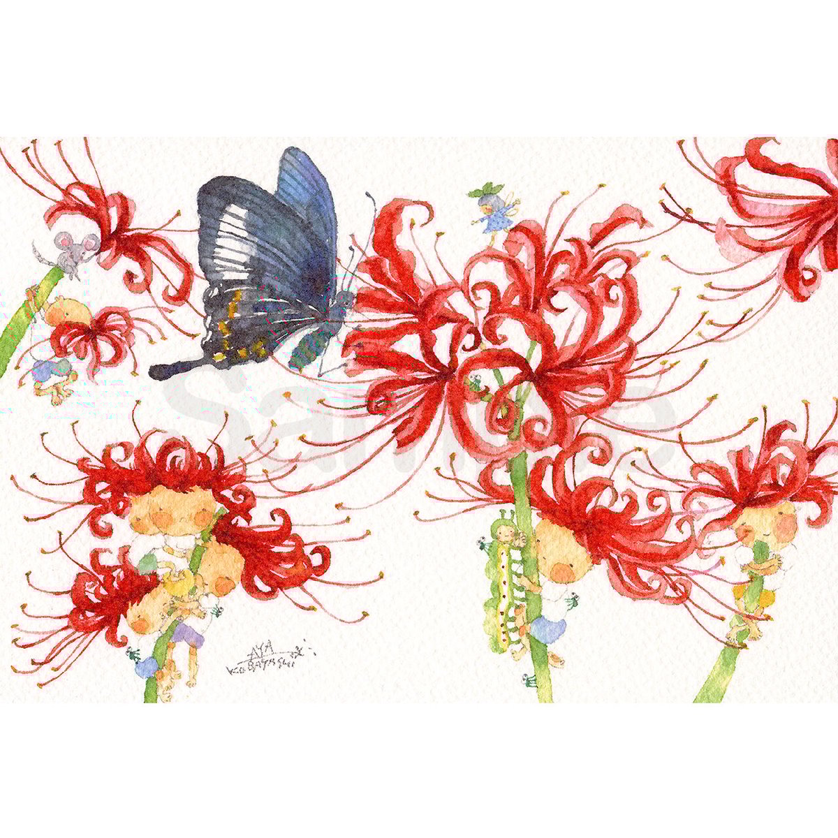 ☆岸 葉子☆「 帆船 」水彩画　色紙　未使用！ 0_afc8870071fd3948a14ef93a8fbc