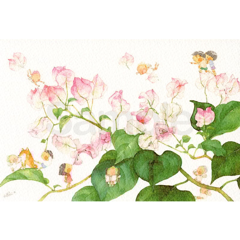 水彩紙のポストカード おだやかな気持ちで／ブーゲンビリア P-0201