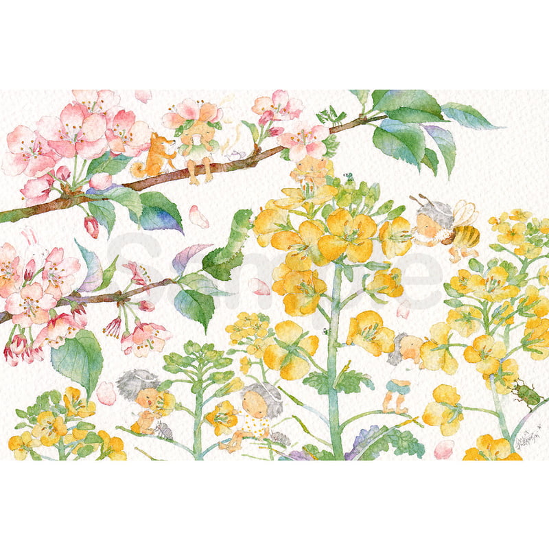 水彩紙のポストカード おしゃべりな春／菜の花と桜 P-0282 | こばやし