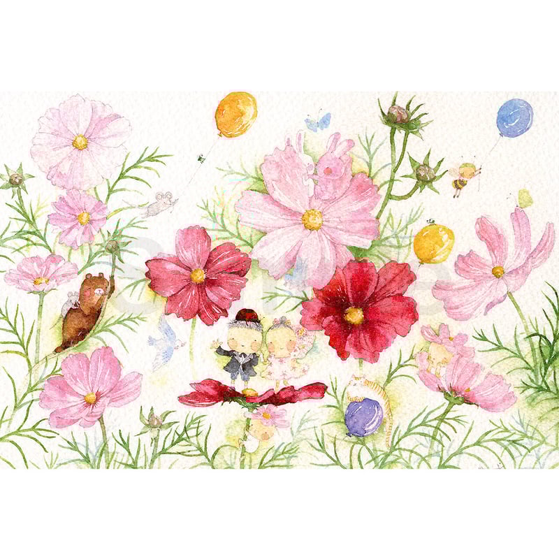 水彩紙のポストカード しあわせ／コスモス P-0215 | こばやしあや