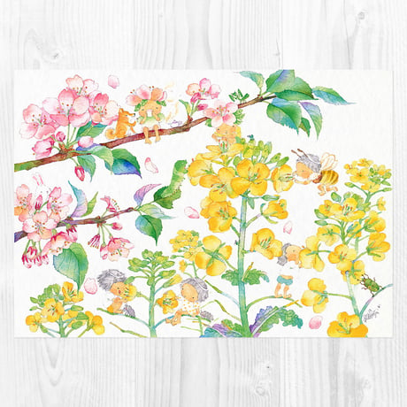 A4アートプリント おしゃべりな春／菜の花と桜 A4-0282