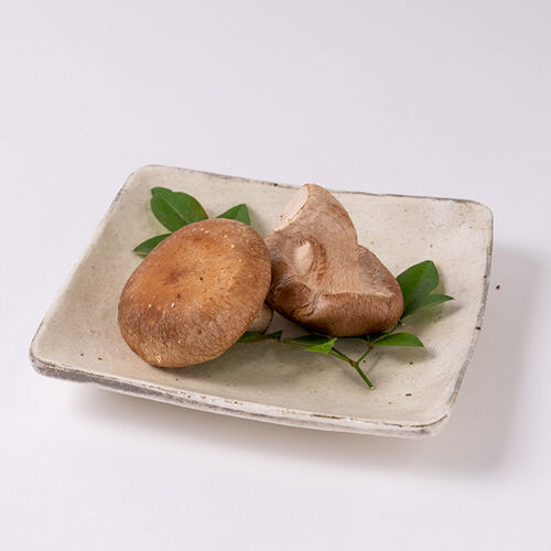 贈答用 椎茸1kg | ファーム大畑オンラインストア